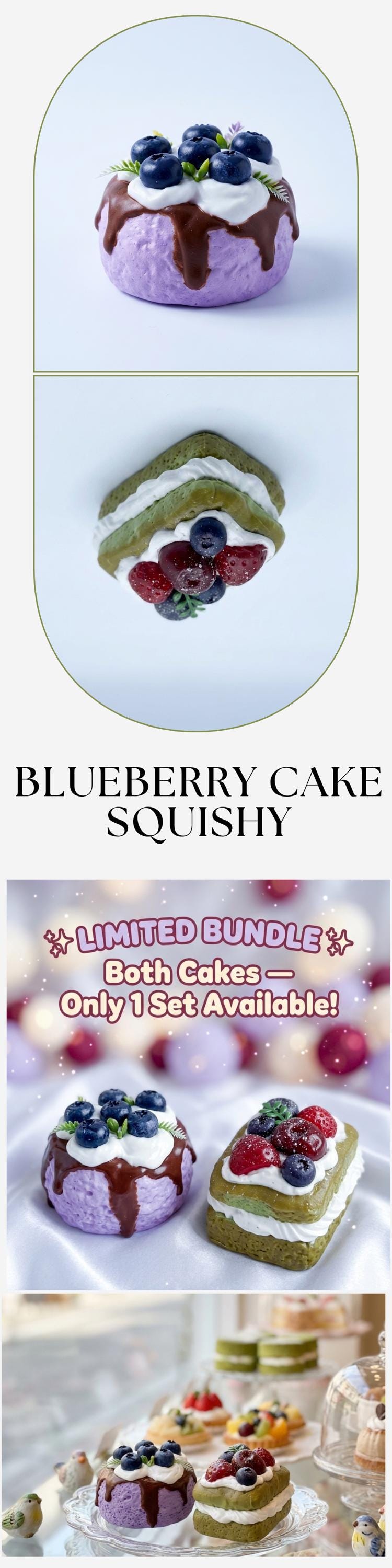 Blueberry Cake Squishy Bundle