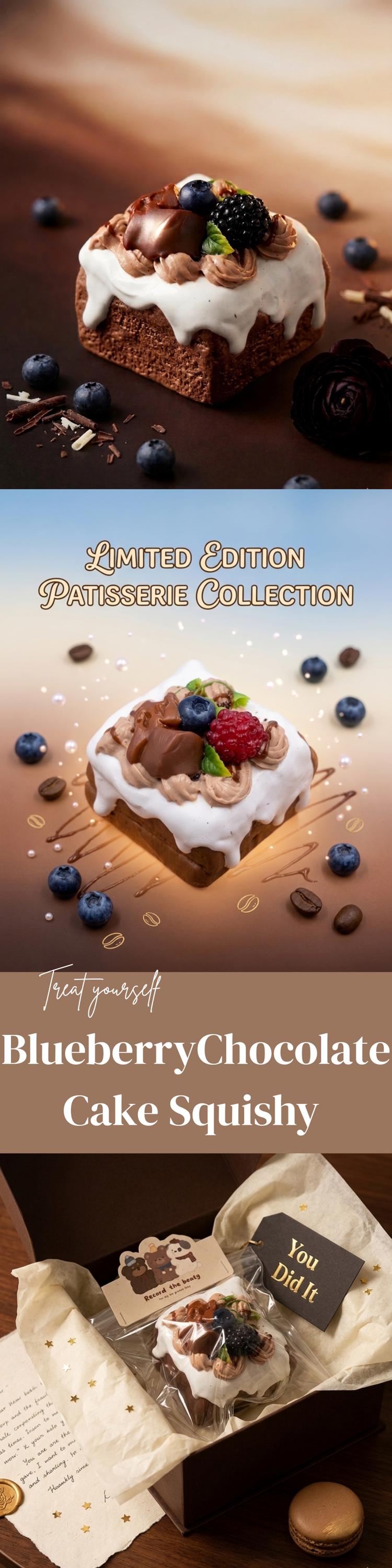 Blueberry Chocolate Cake Squishy