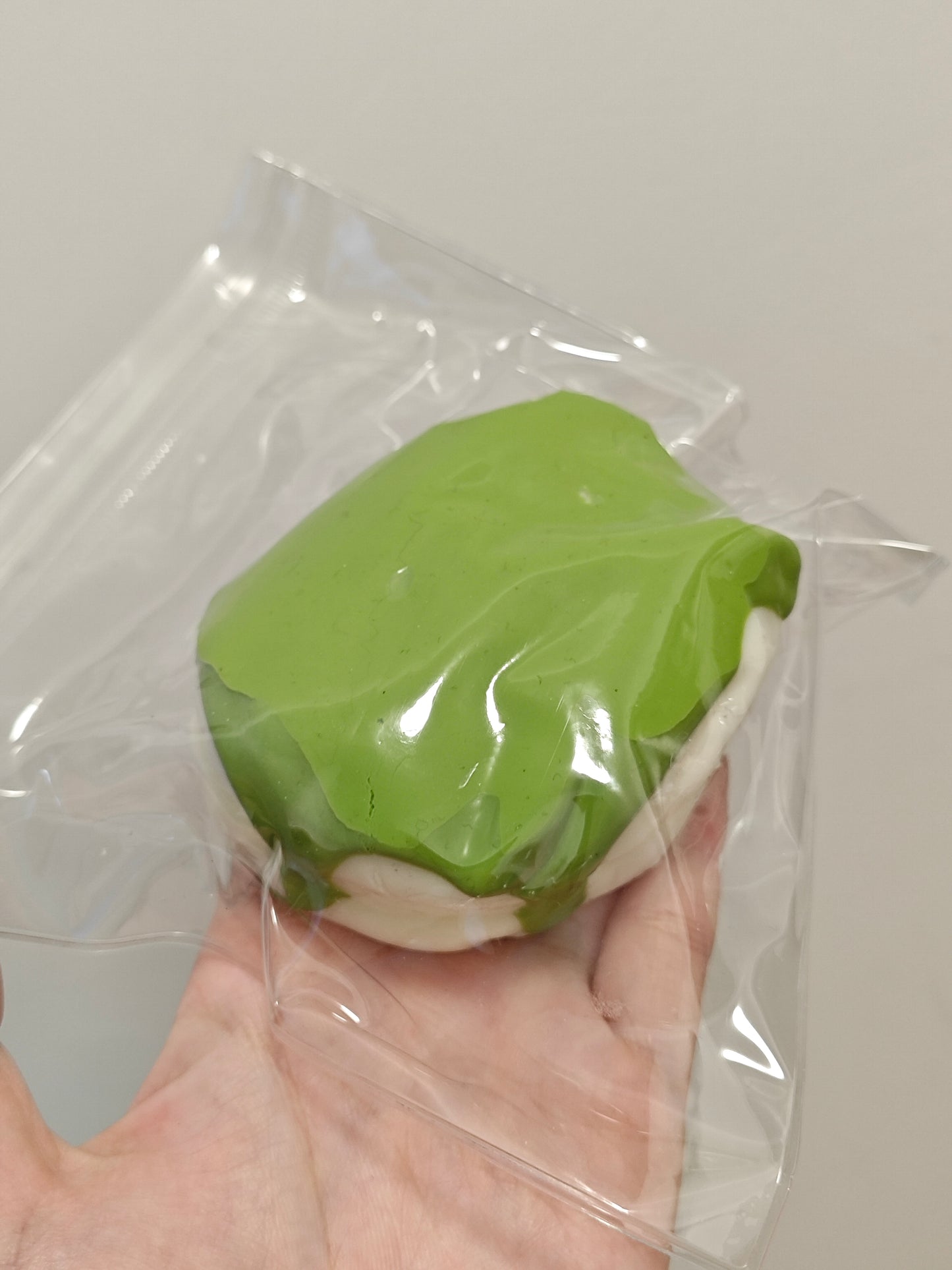 A hand holding a small, round, green-and-white item sealed inside a clear plastic bag against a plain light gray background.