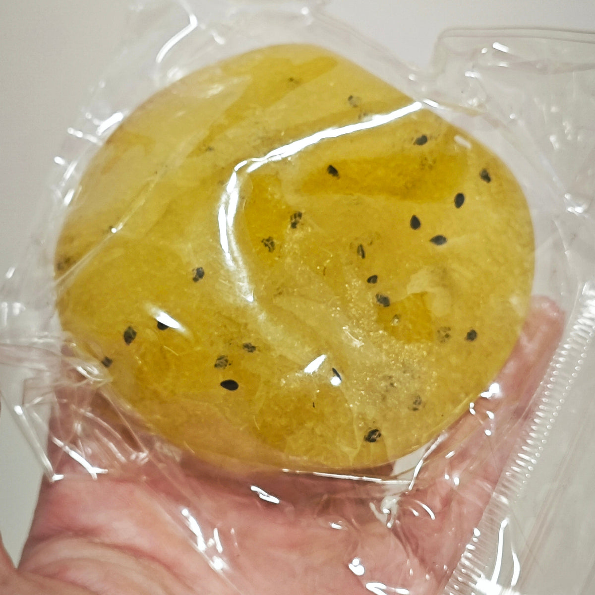A round golden-brown baked good, possibly a sesame-topped flatbread or pastry, sealed in a clear plastic bag and held in a person's hand.