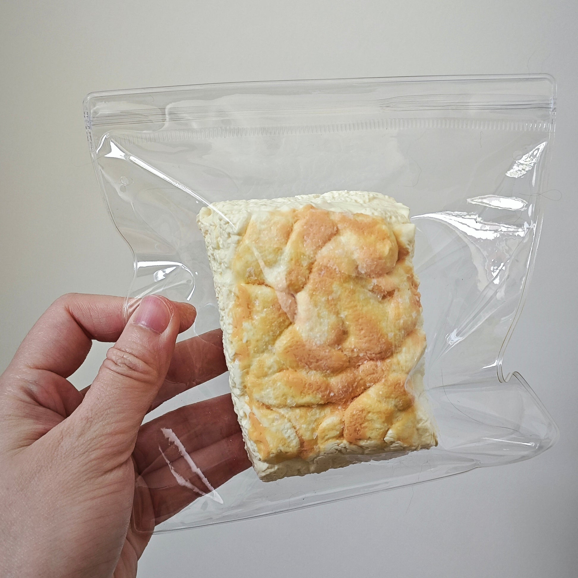 A hand holding a clear plastic zip-top bag containing a square baked good, likely a pastry or bread piece, against a plain light background.