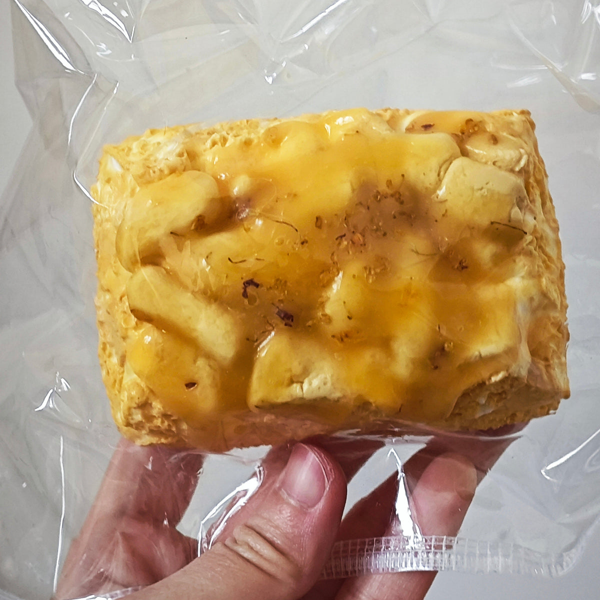 A hand holding a rectangular golden-brown pastry or bread slice wrapped in clear plastic packaging against a plain light background.