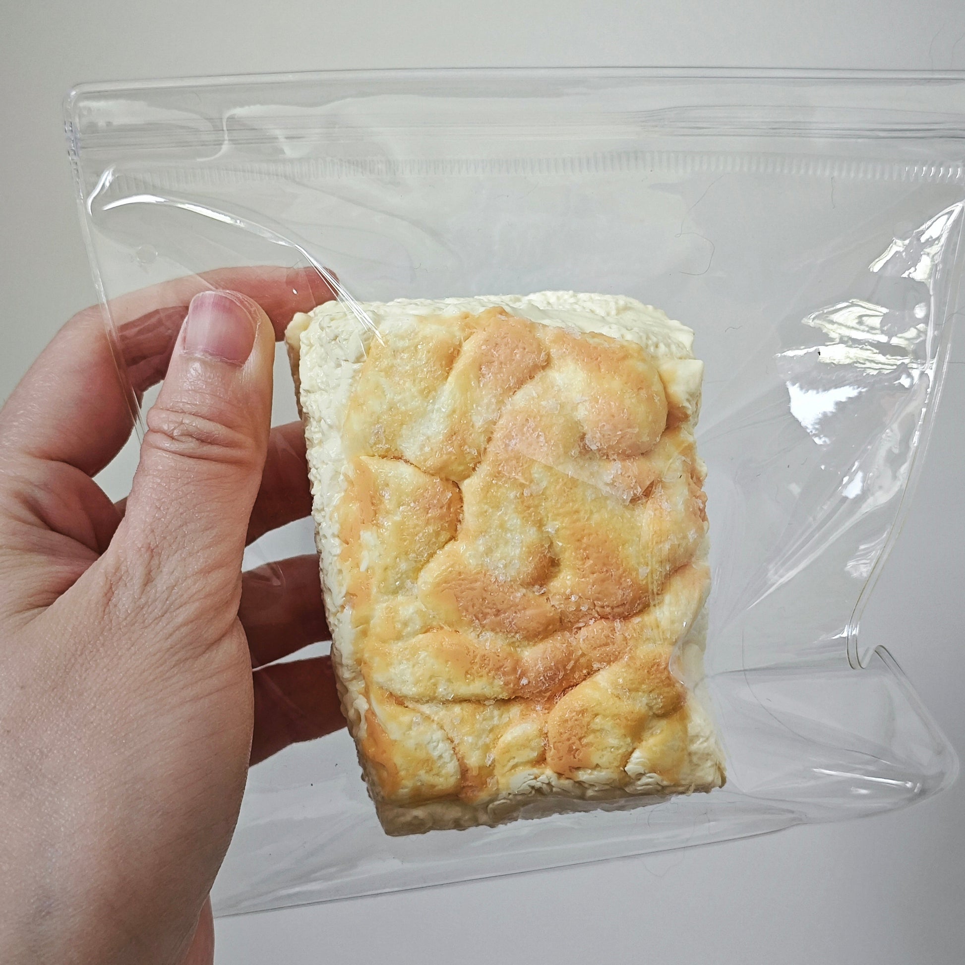 A hand holding a clear plastic zip-top bag containing a square, golden-brown baked good with a textured, crumbly surface, set against a plain light gray background.