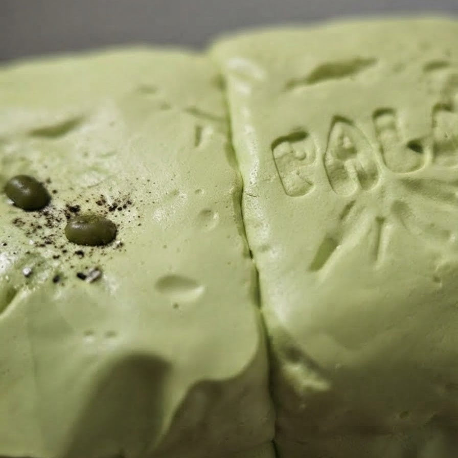 A close-up of pale green soap bars with embossed lettering and small green capers and black pepper garnish on one bar, set against a neutral gray background.