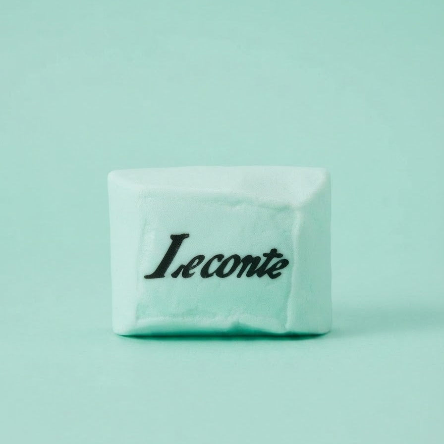 A small white rectangular box with the black script brand name 'Leconte' on the front, centered against a solid mint green background.