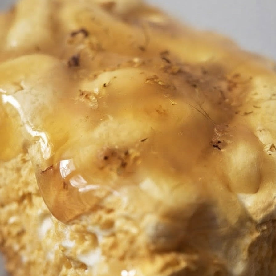A close-up of a honeycomb-patterned sponge or resin block with a glossy amber-brown translucent top and lighter beige edges, set against a neutral gray background.