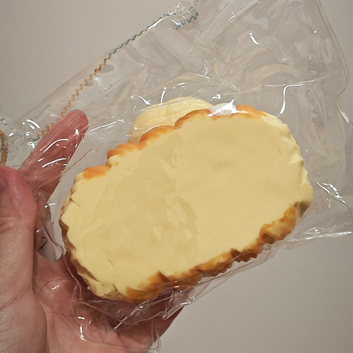 A hand holding a packaged, bread-shaped squishy toy with a pale yellow top and golden-brown edges inside a clear plastic bag.