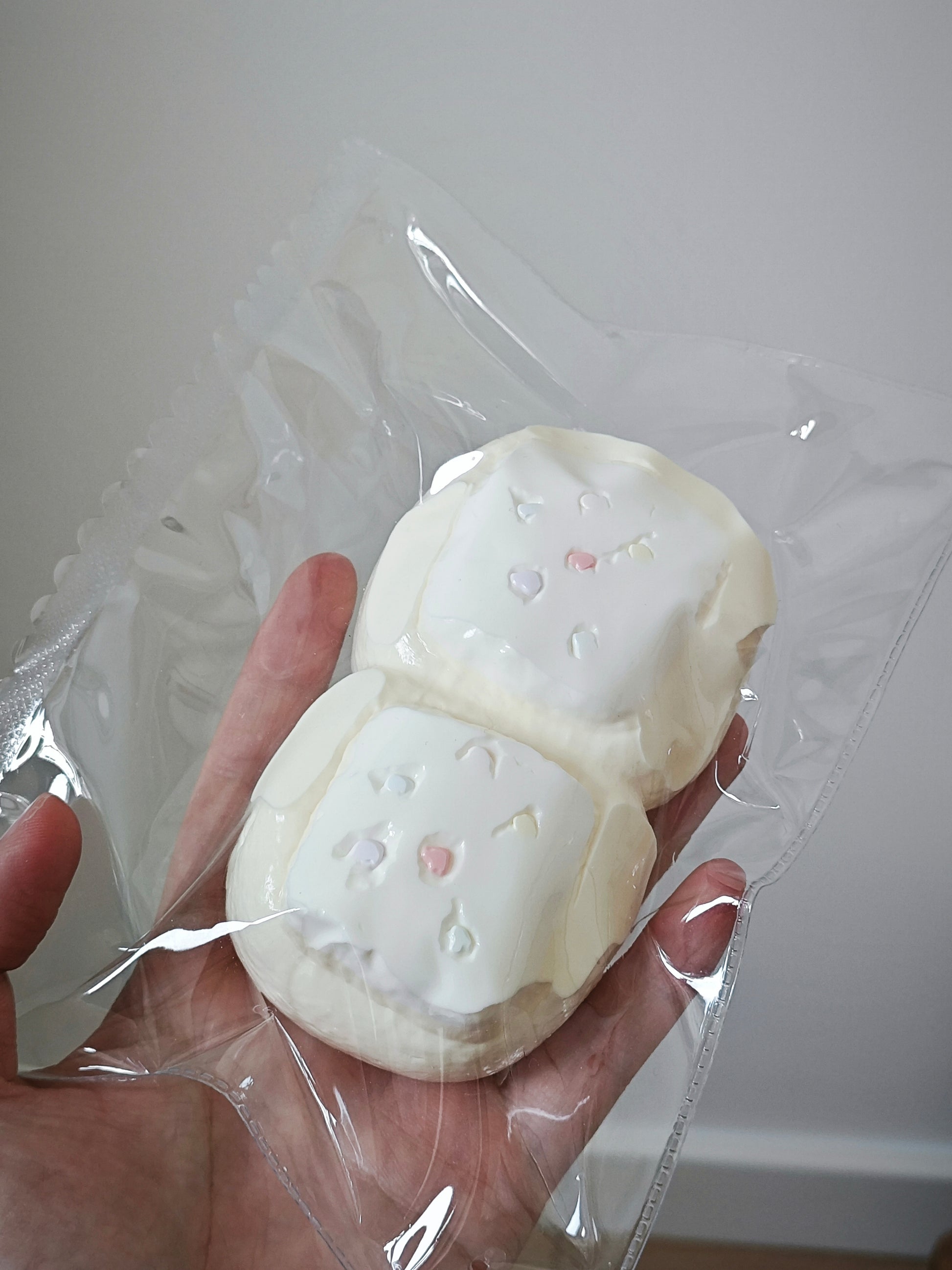 A hand holding a clear plastic bag containing two round, off-white baked goods or cookies with small pastel decorative markings, against a plain light gray wall.