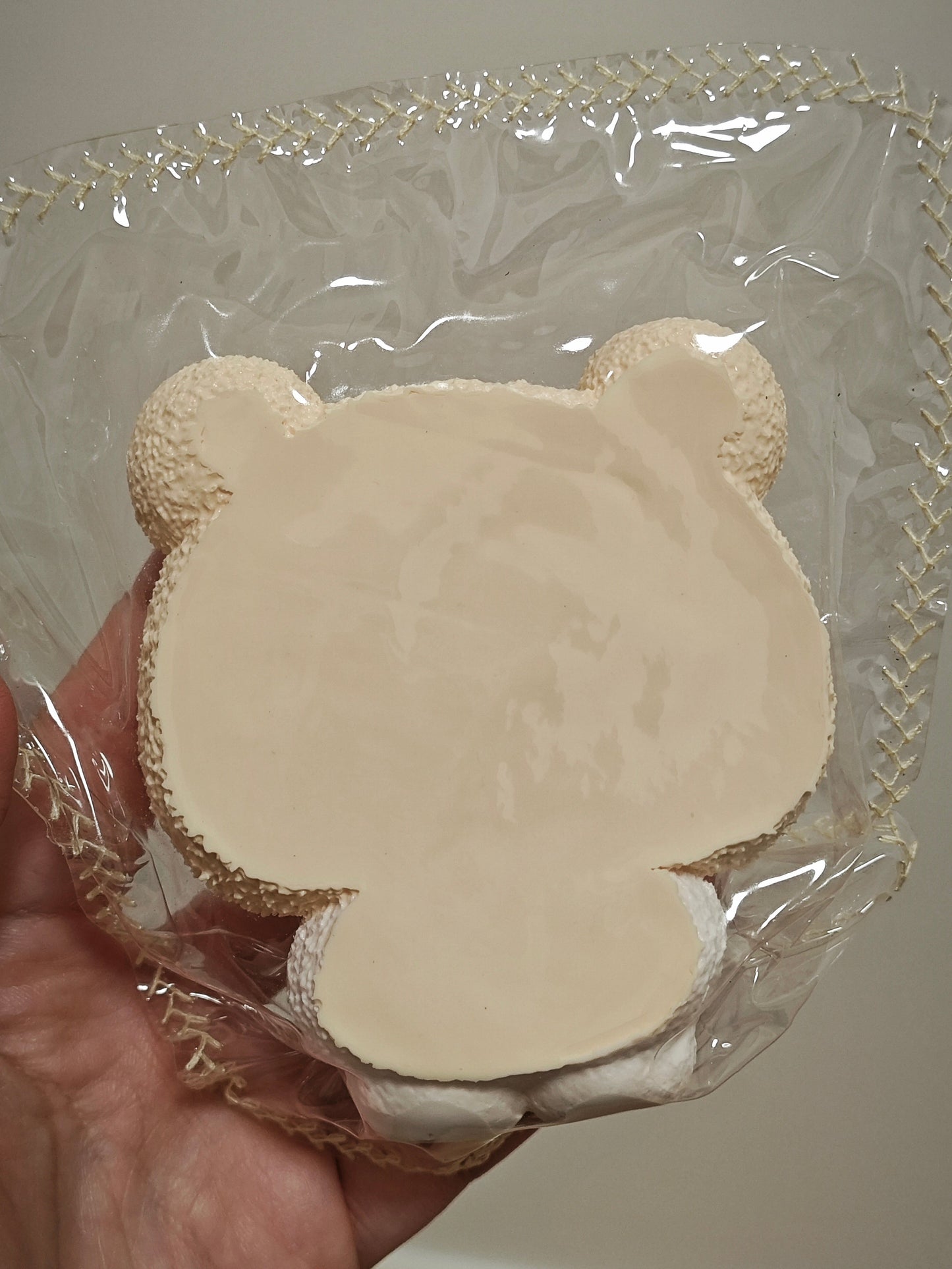 A hand holding a clear plastic zippered pouch with a beige bear-shaped item inside, against a plain indoor background.
