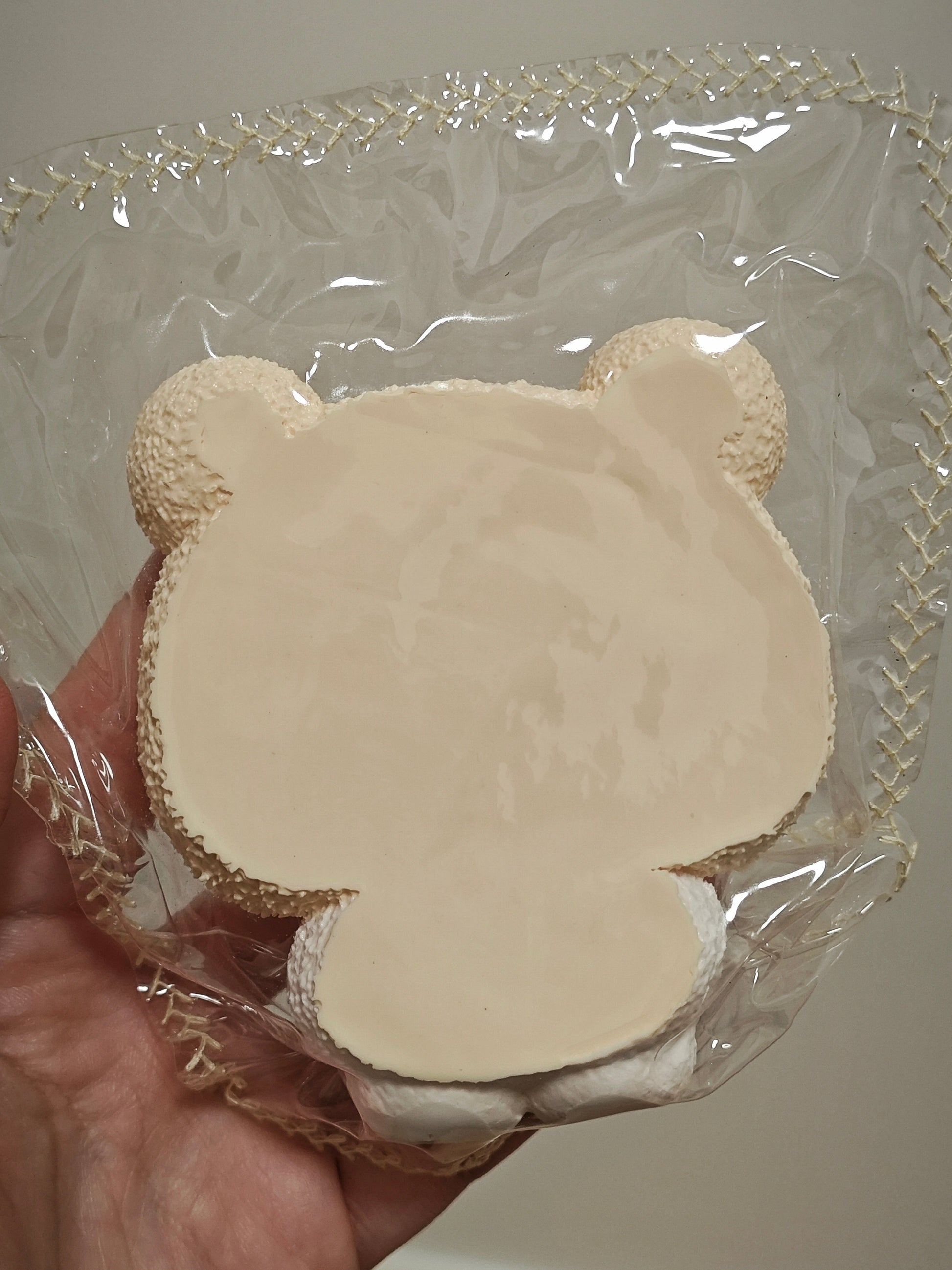 A hand holding a clear plastic zippered pouch with a beige bear-shaped item inside, against a plain indoor background.