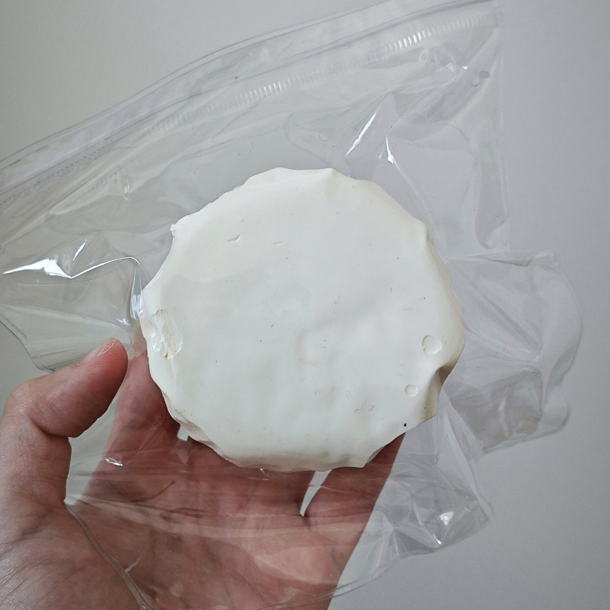 A hand holding a round white item, possibly cheese or a solid food product, sealed inside a clear plastic bag against a plain light gray background.