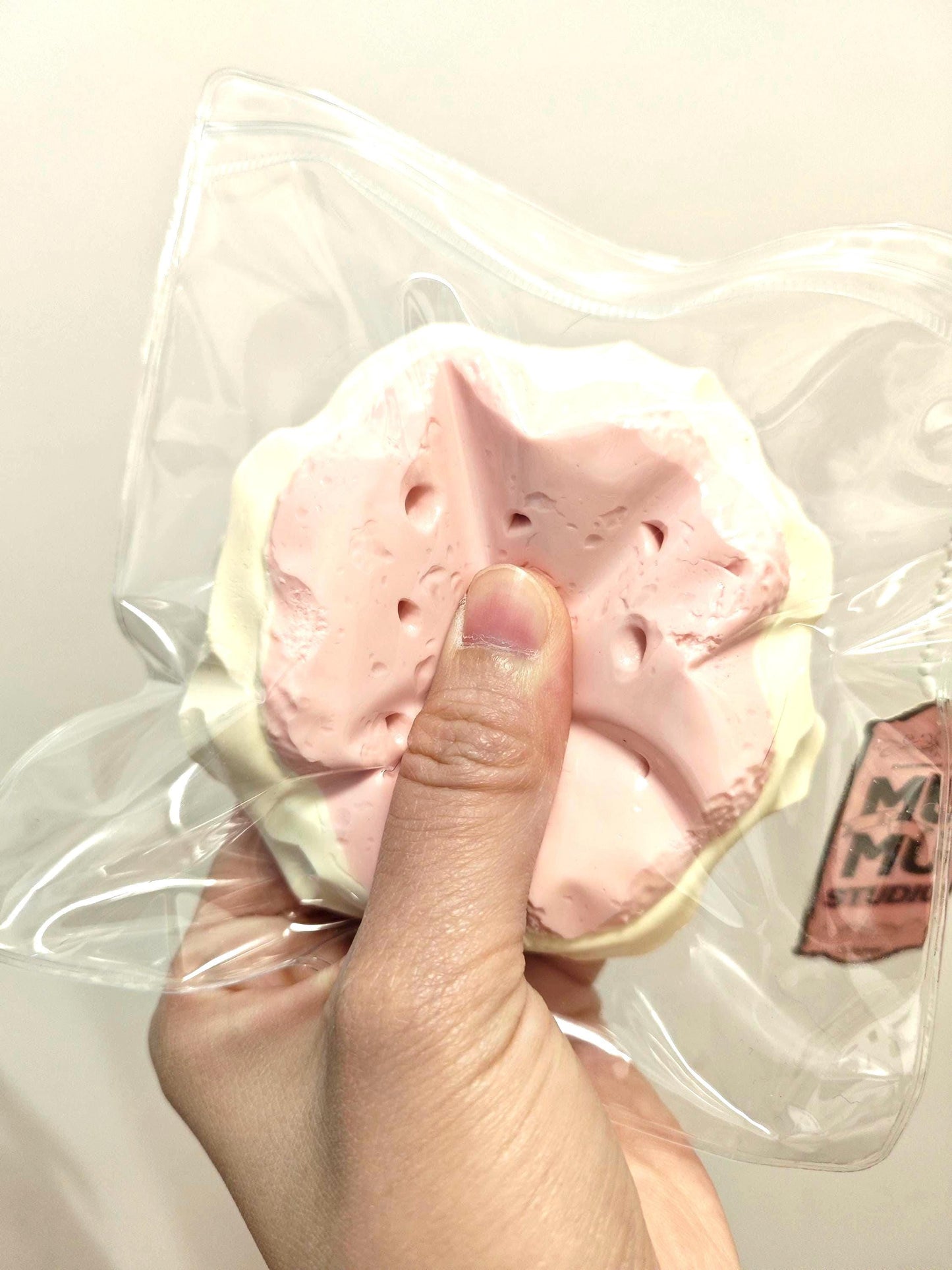 Biscuit Squishy Bundle
