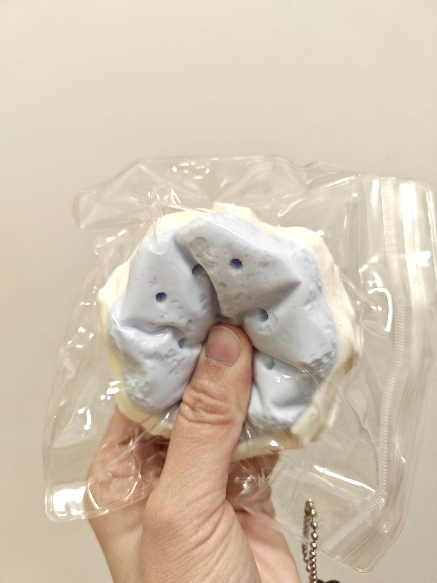 Biscuit Squishy Bundle