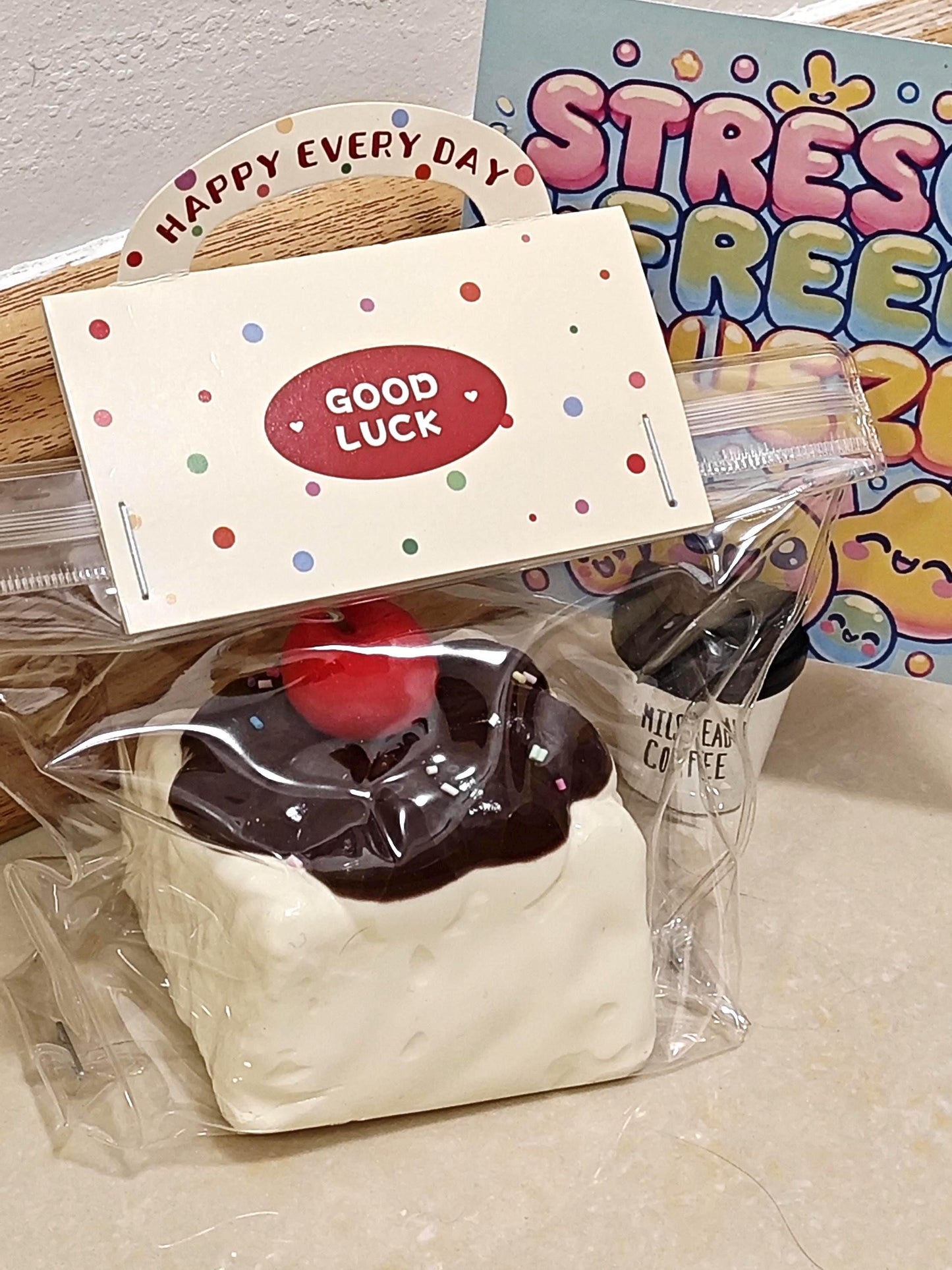 Cherry Chocolate Hot Fudge Cake Squishy