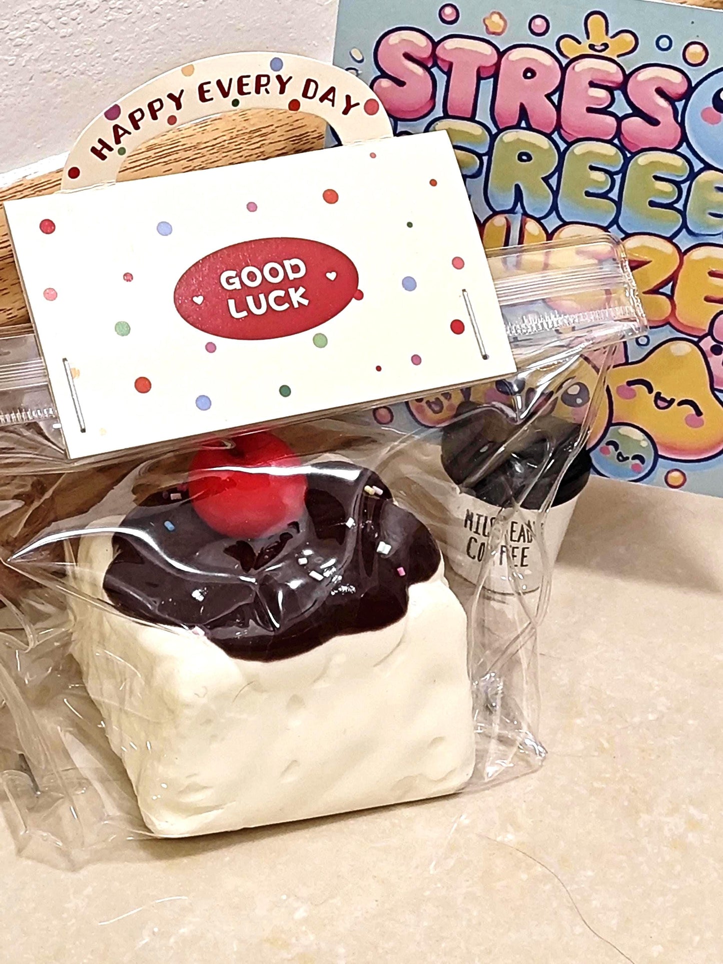 Cherry Chocolate Hot Fudge Cake Squishy