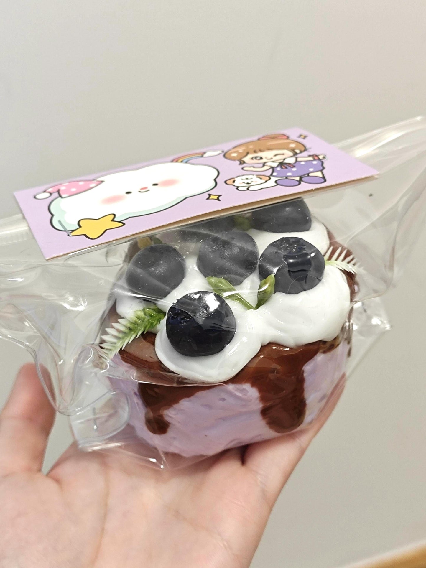 Blueberry Cake Squishy Bundle