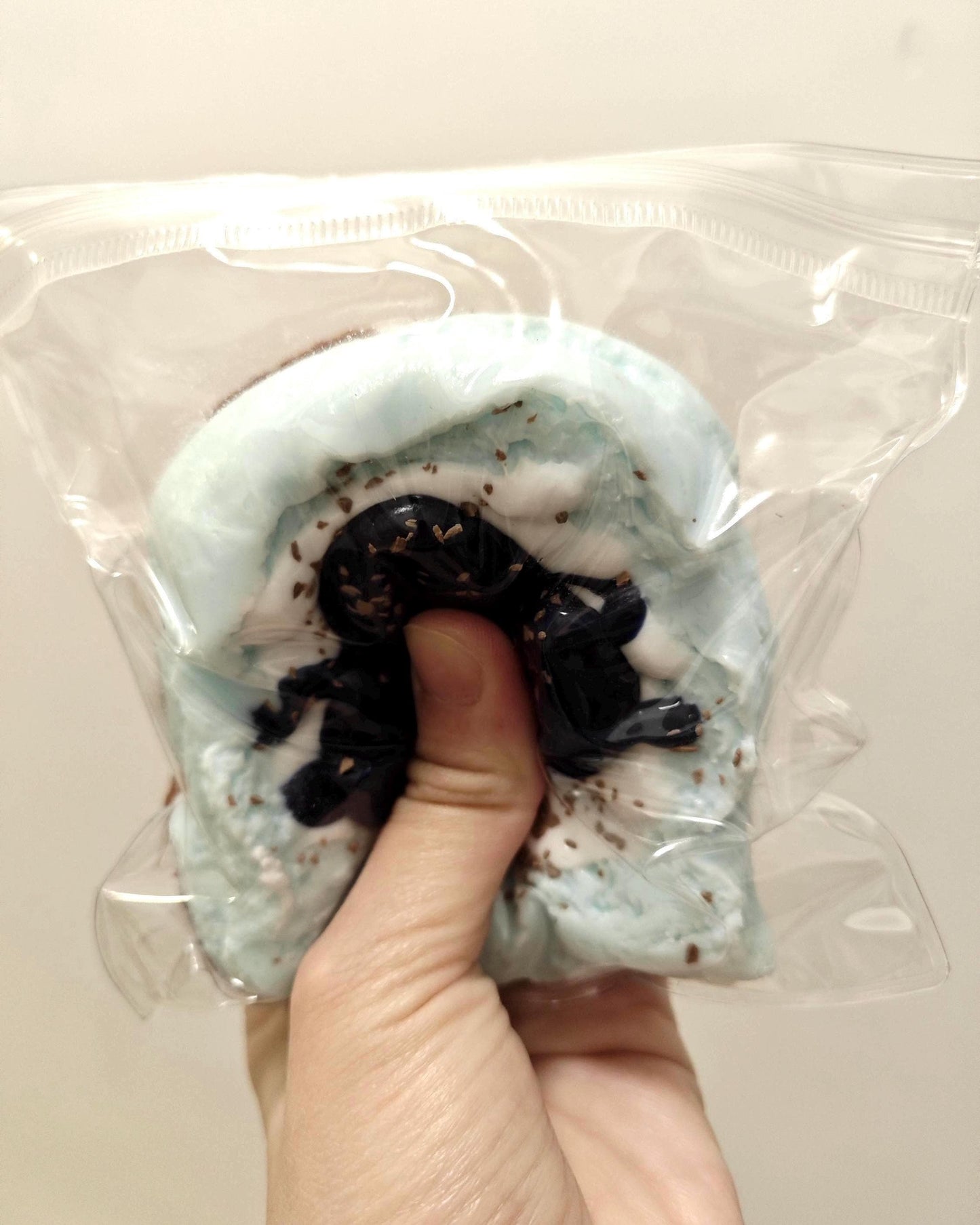 Blueberry Toast Squishy