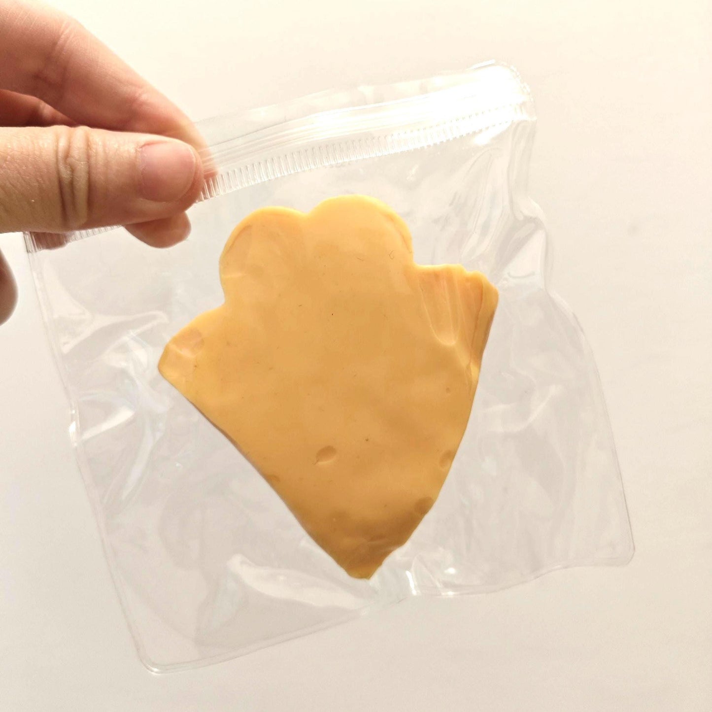 Pizza Squishy