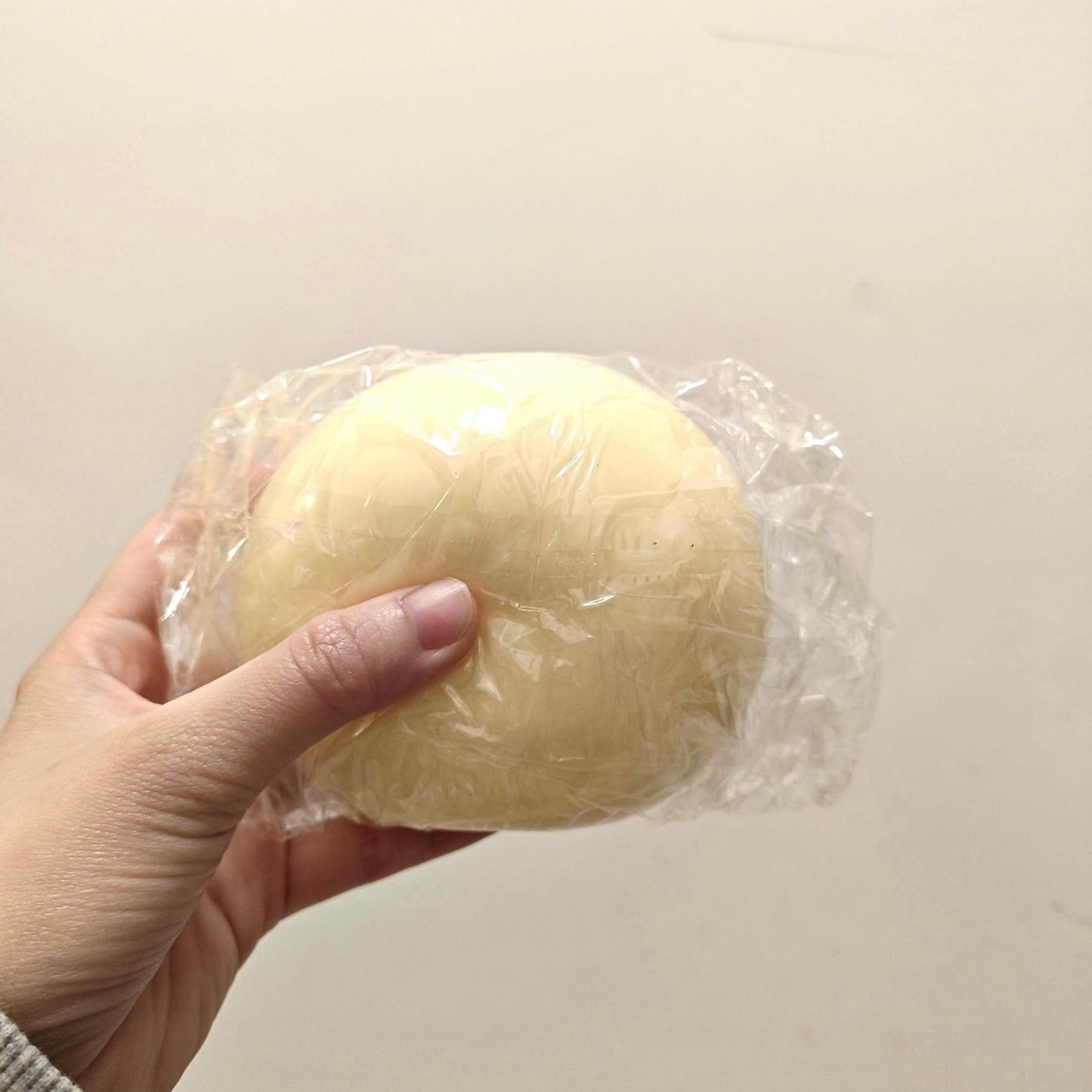 Cheese Ball Squishy