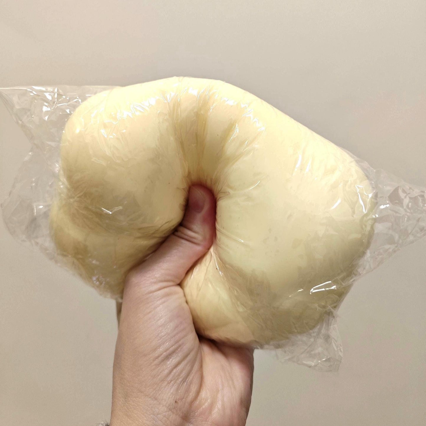 Cheese Ball Squishy