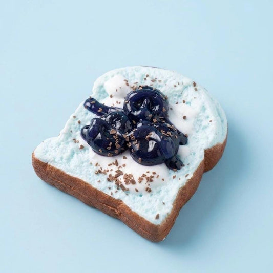 Blueberry Toast Squishy