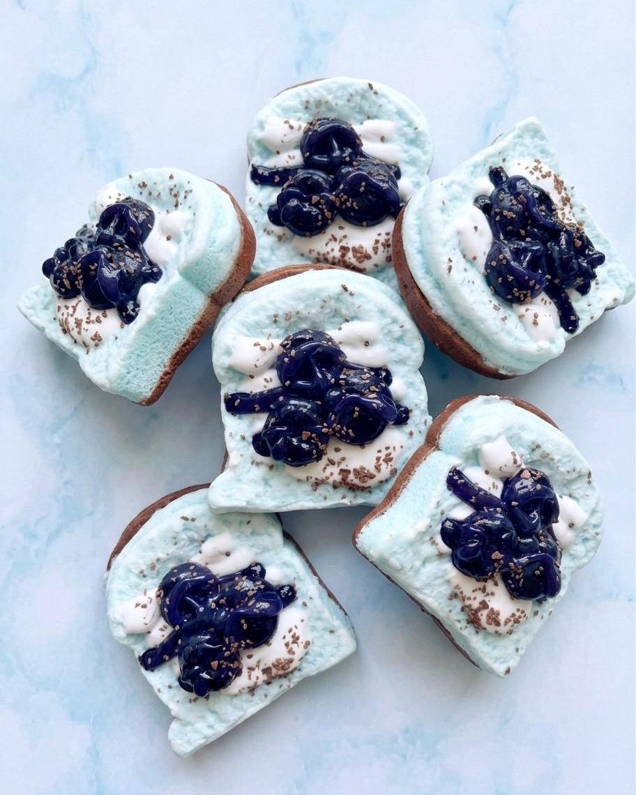 Blueberry Toast Squishy