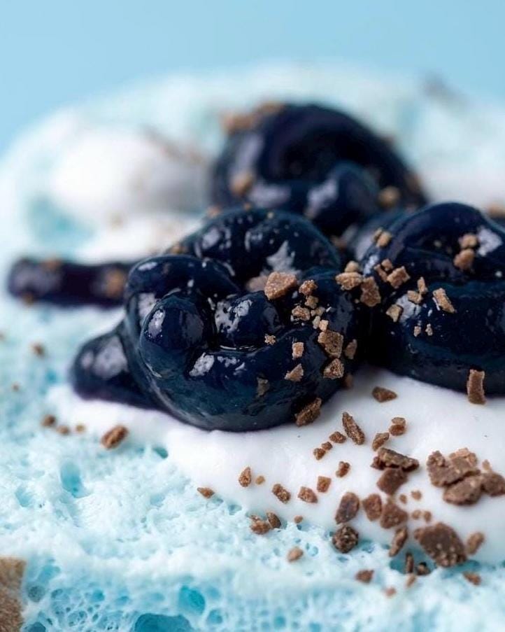 Blueberry Toast Squishy