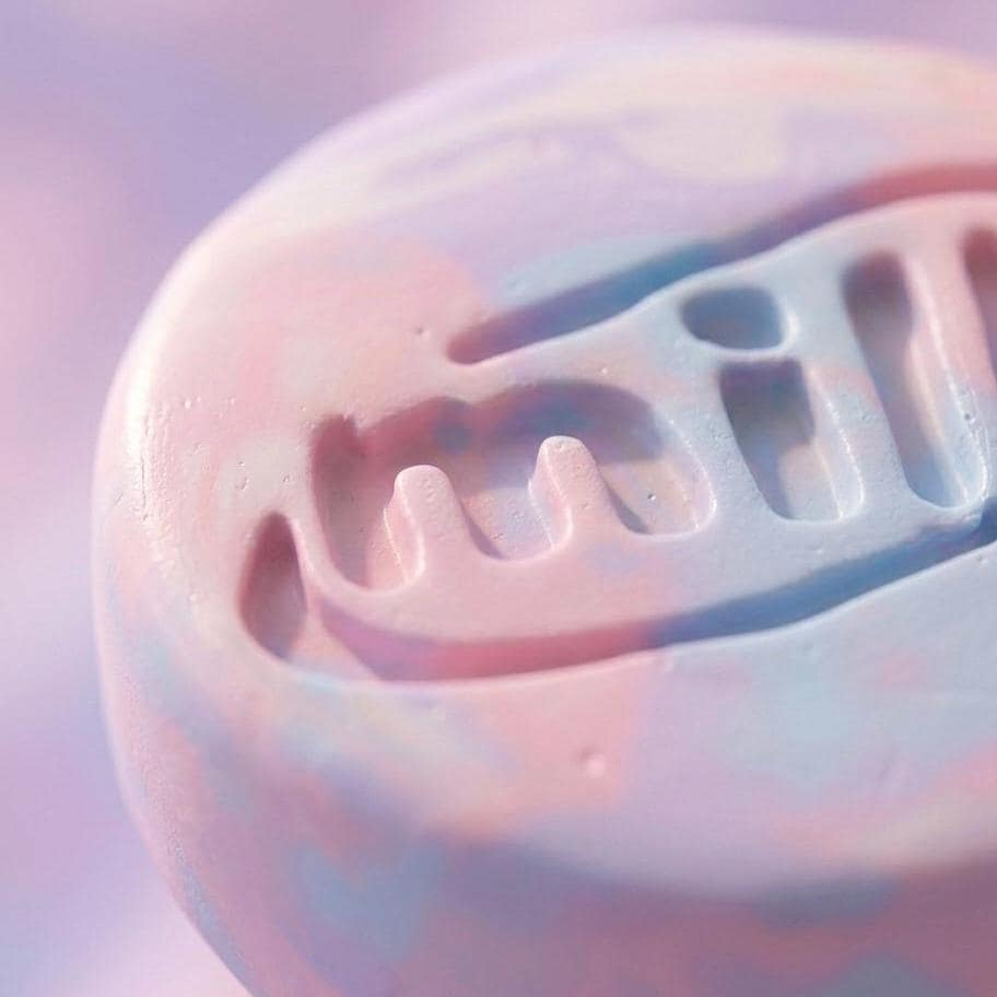 Pastel Milk Cookie Squishy
