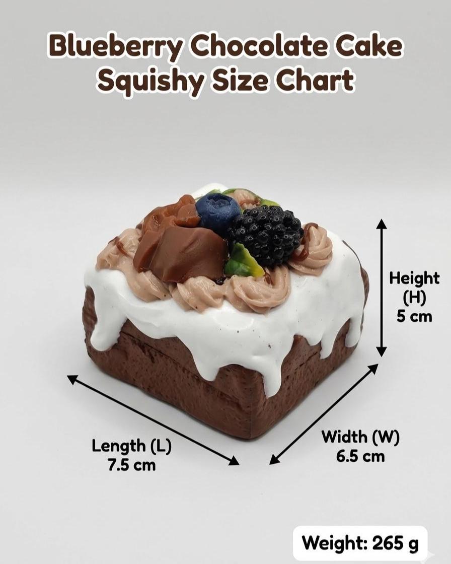 Blueberry Chocolate Cake Squishy