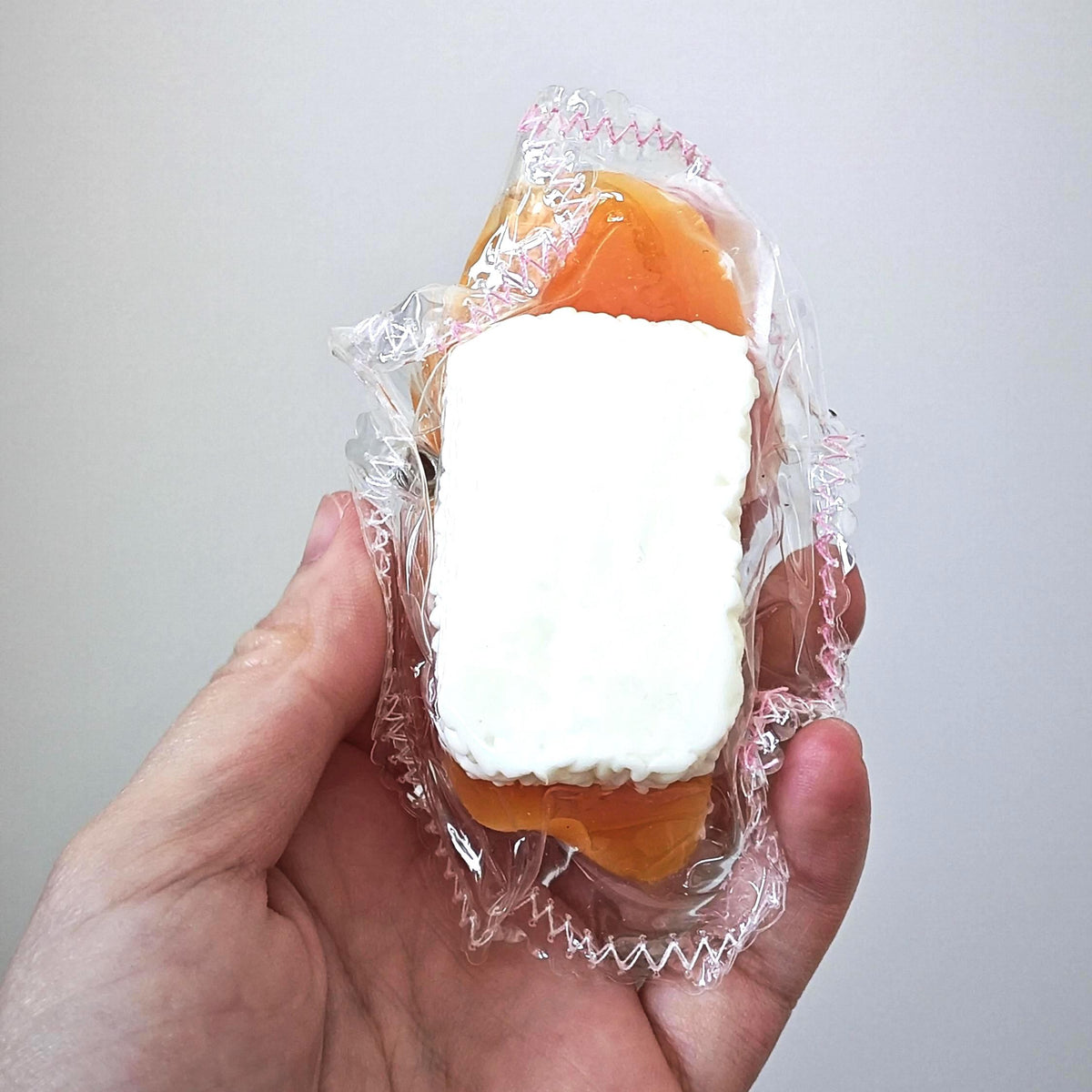 Sushi Squishy